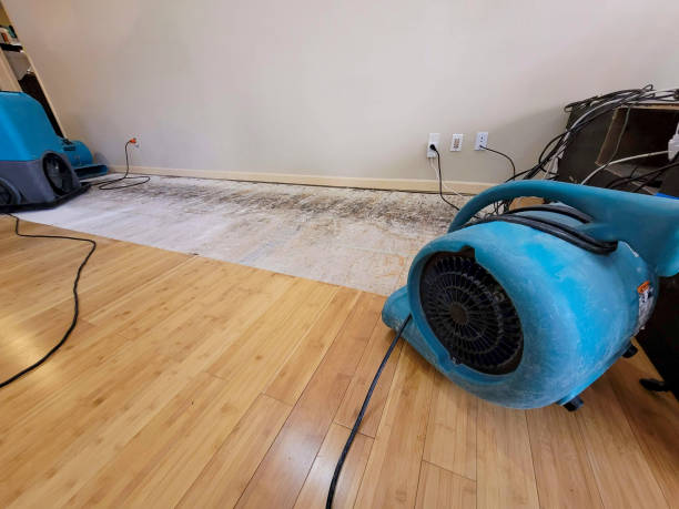 Professional Water Extraction technician working in Mendon, OH